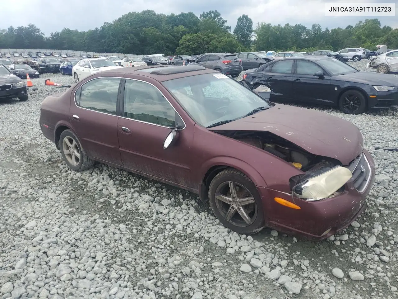 2001 Nissan Maxima Gxe VIN: JN1CA31A91T112723 Lot: 58784315