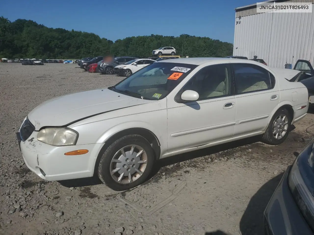 2001 Nissan Maxima Gxe VIN: JN1CA31D21T826493 Lot: 60648075