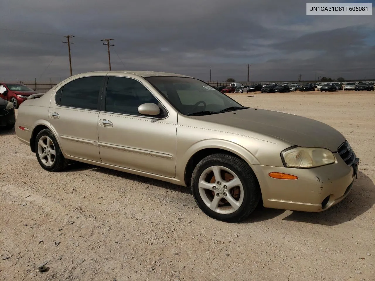 2001 Nissan Maxima Gxe VIN: JN1CA31D81T606081 Lot: 82989204