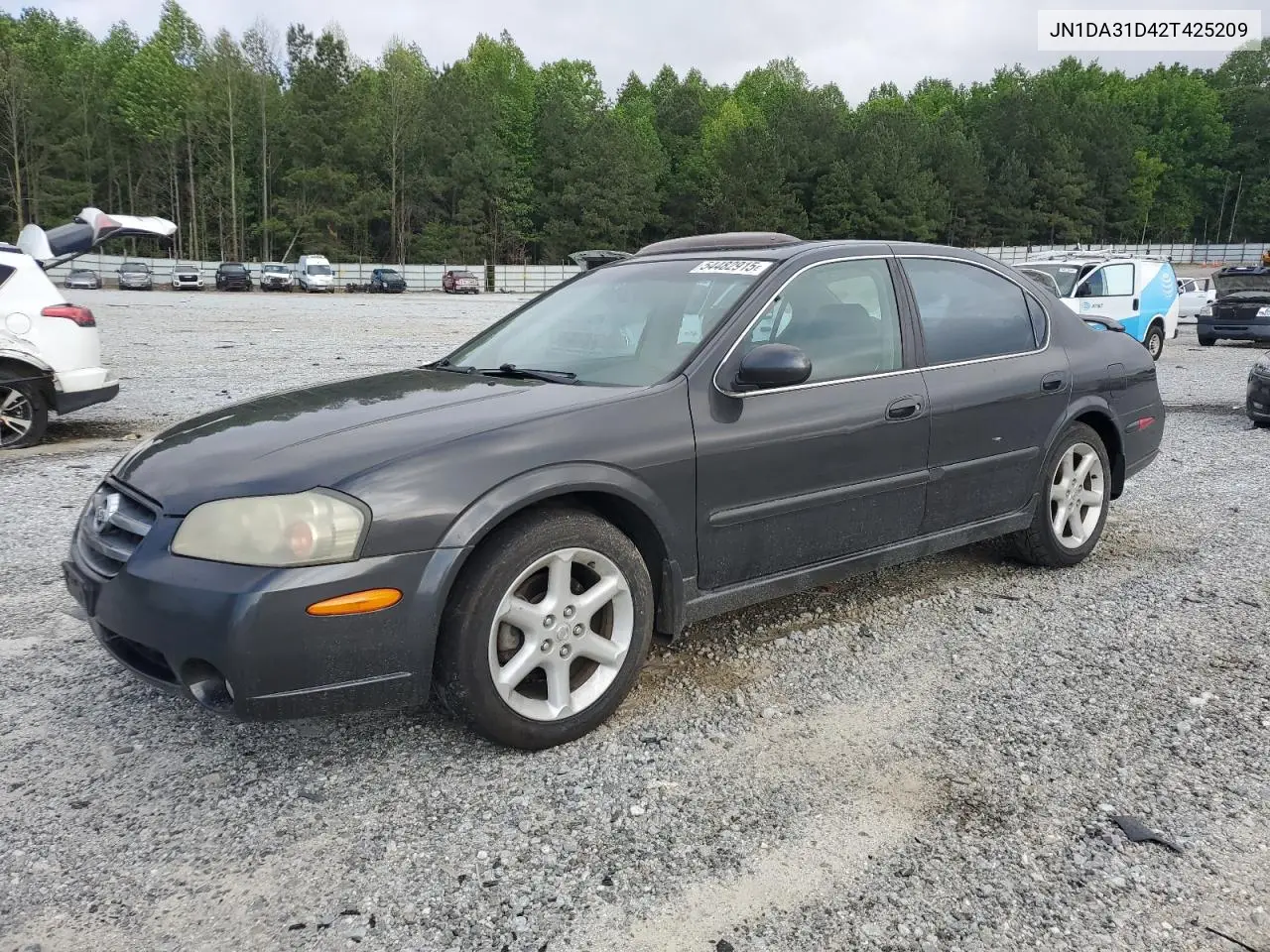 2002 Nissan Maxima Gle VIN: JN1DA31D42T425209 Lot: 54482915