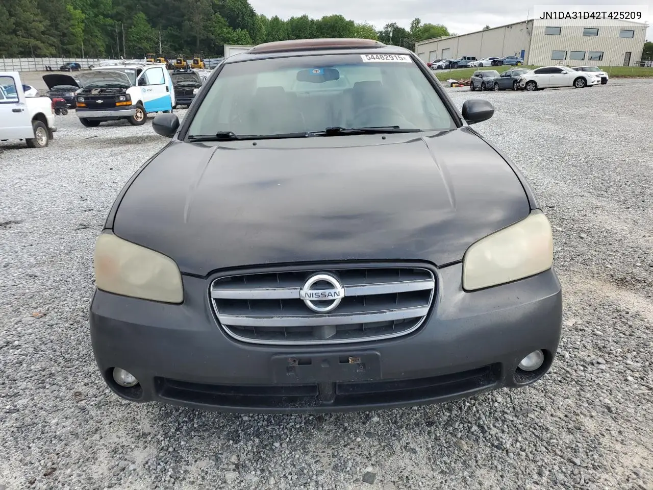 2002 Nissan Maxima Gle VIN: JN1DA31D42T425209 Lot: 54482915
