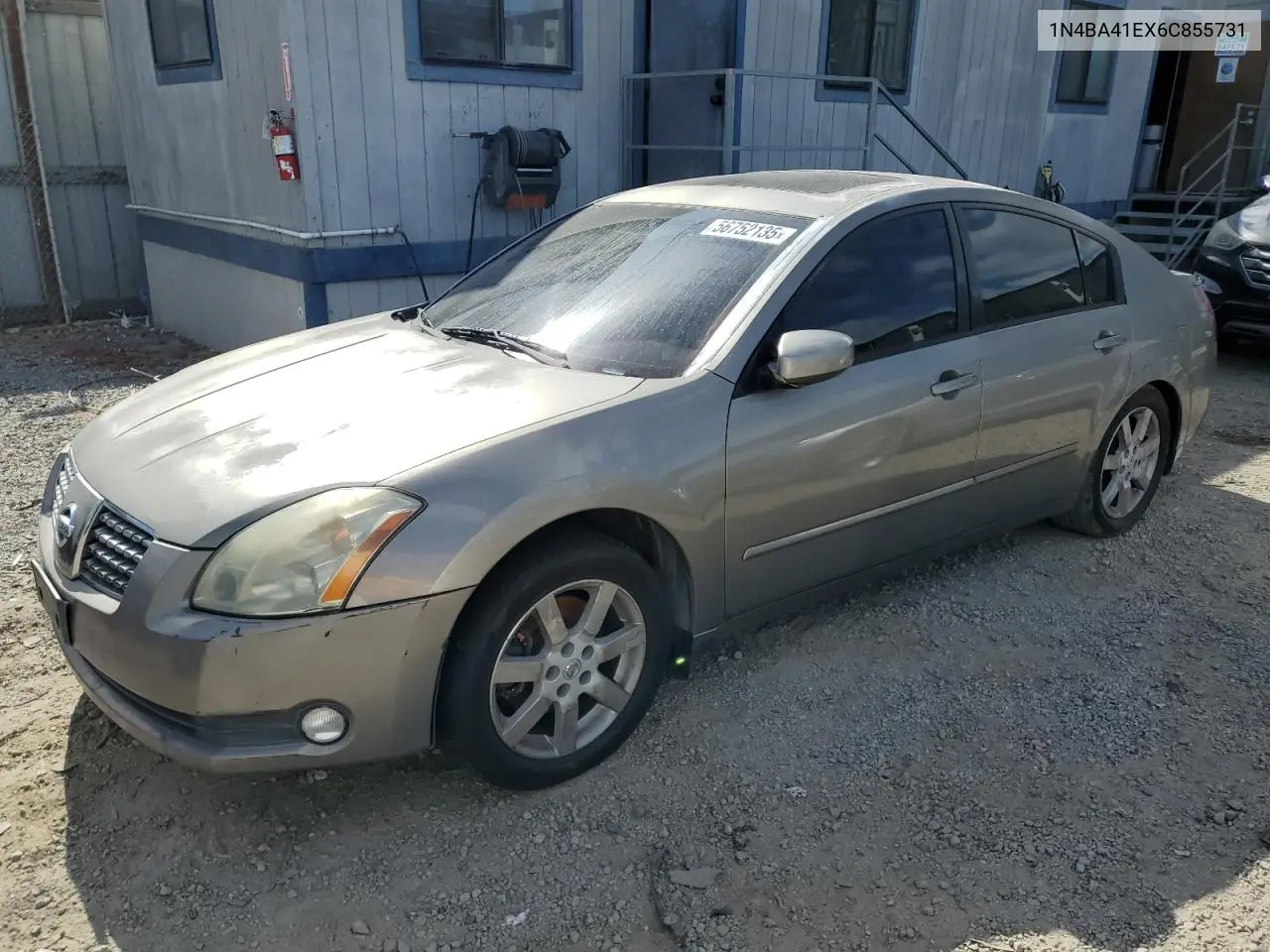 2006 Nissan Maxima Se VIN: 1N4BA41EX6C855731 Lot: 56752135