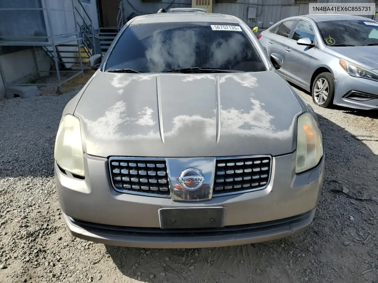 2006 Nissan Maxima Se VIN: 1N4BA41EX6C855731 Lot: 56752135