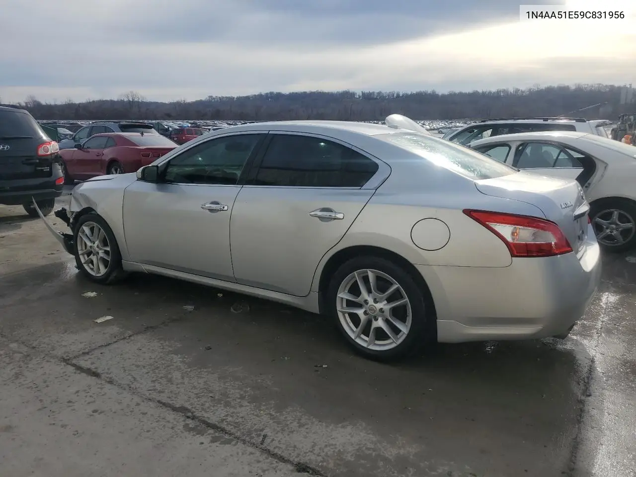 2009 Nissan Maxima S VIN: 1N4AA51E59C831956 Lot: 46520355
