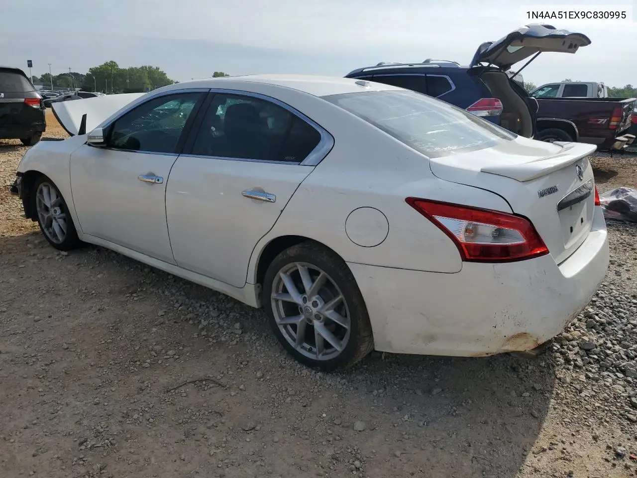2009 Nissan Maxima S VIN: 1N4AA51EX9C830995 Lot: 55280635