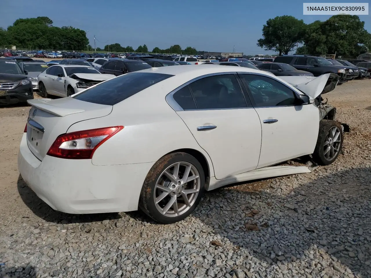 2009 Nissan Maxima S VIN: 1N4AA51EX9C830995 Lot: 55280635