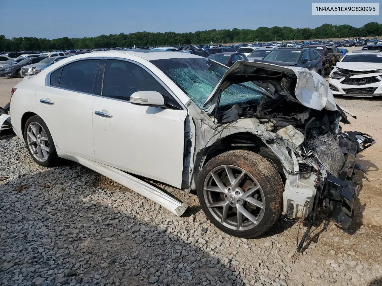 2009 Nissan Maxima S VIN: 1N4AA51EX9C830995 Lot: 55280635