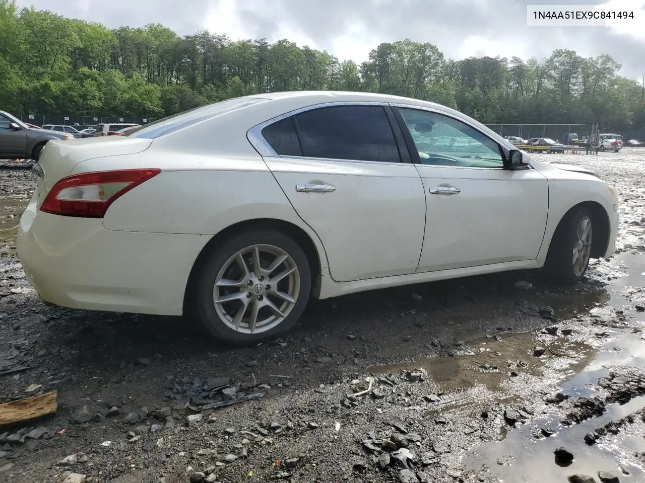 2009 Nissan Maxima S VIN: 1N4AA51EX9C841494 Lot: 56754145