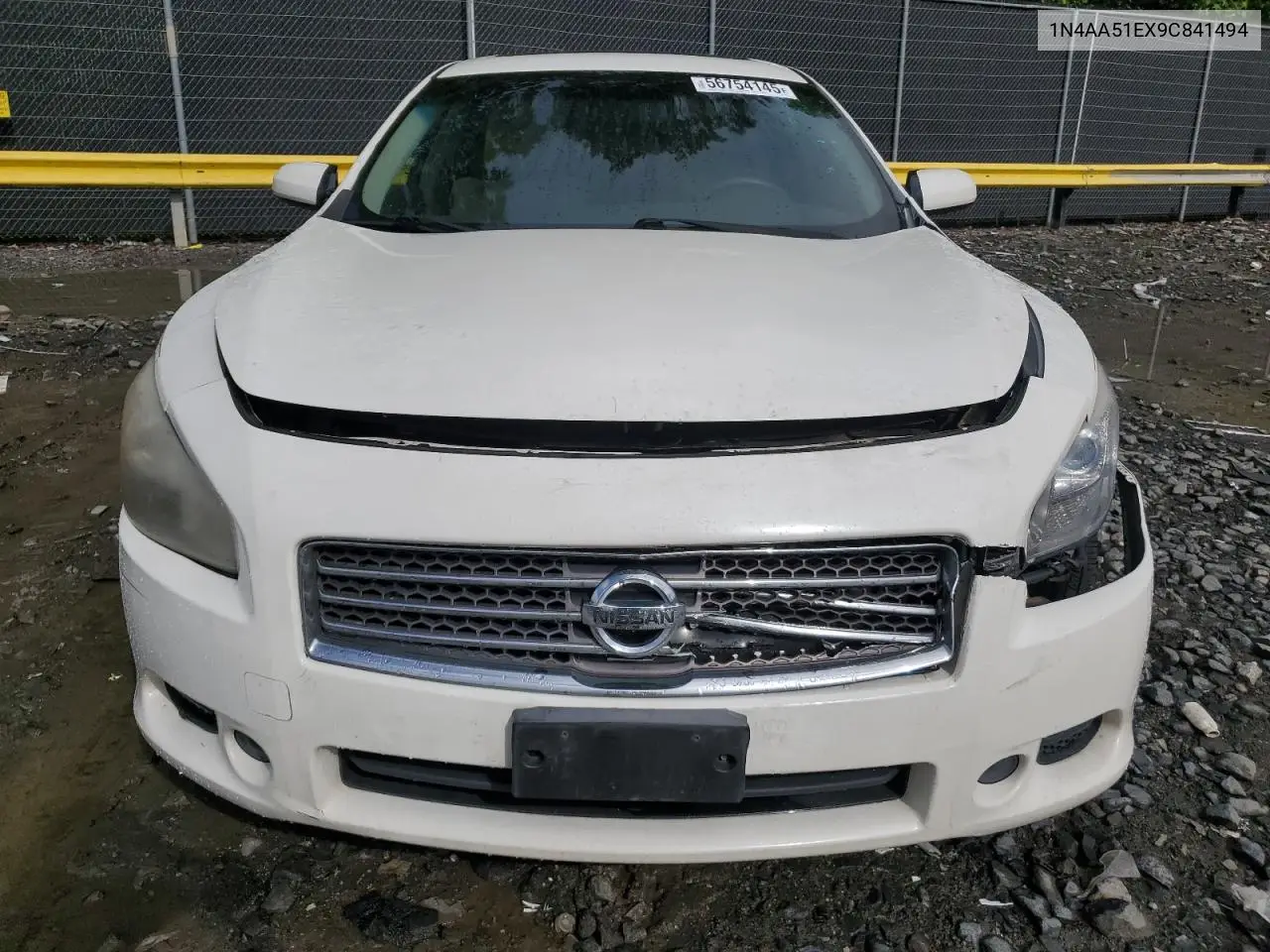 2009 Nissan Maxima S VIN: 1N4AA51EX9C841494 Lot: 56754145