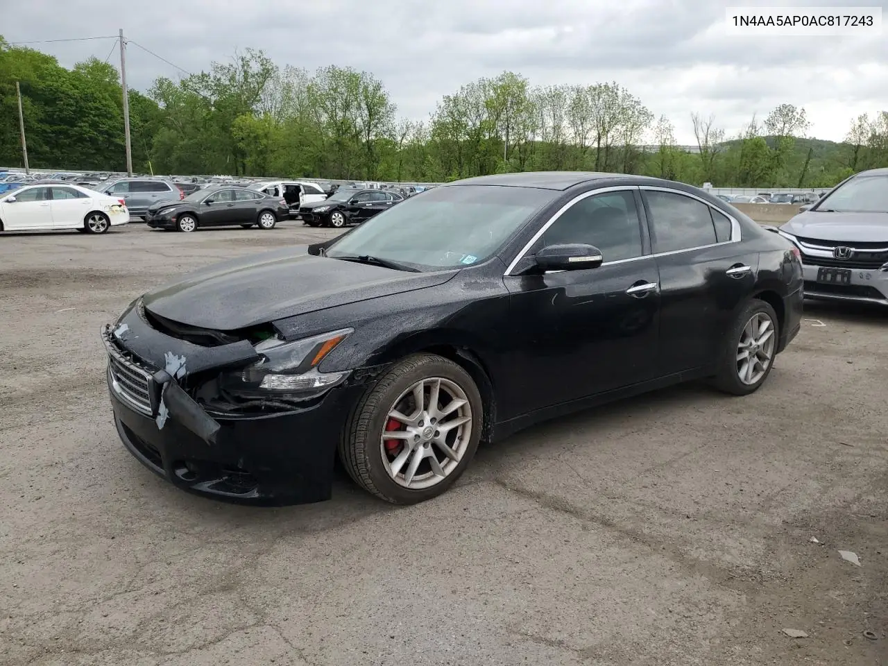 2010 Nissan Maxima S VIN: 1N4AA5AP0AC817243 Lot: 56154125