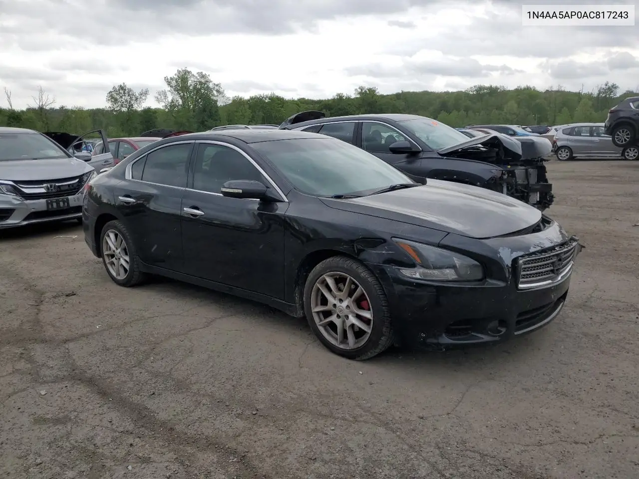 2010 Nissan Maxima S VIN: 1N4AA5AP0AC817243 Lot: 56154125
