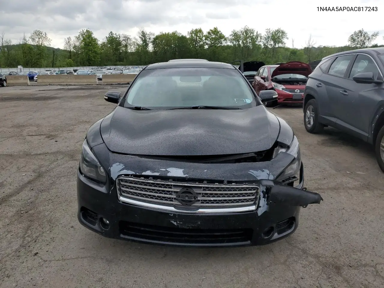 2010 Nissan Maxima S VIN: 1N4AA5AP0AC817243 Lot: 56154125