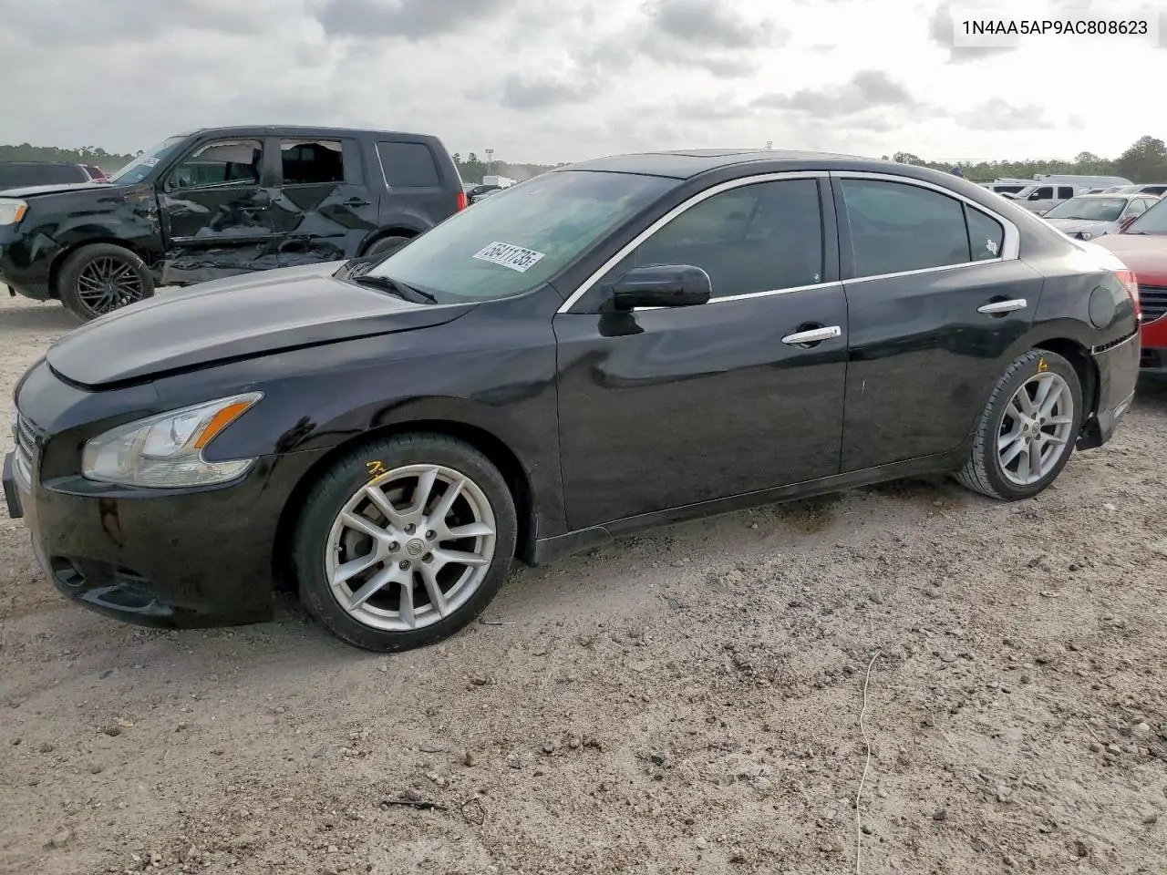 2010 Nissan Maxima S VIN: 1N4AA5AP9AC808623 Lot: 56411735