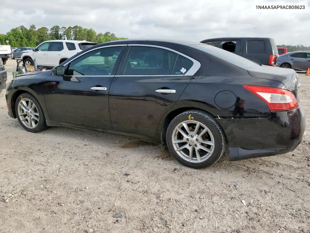2010 Nissan Maxima S VIN: 1N4AA5AP9AC808623 Lot: 56411735