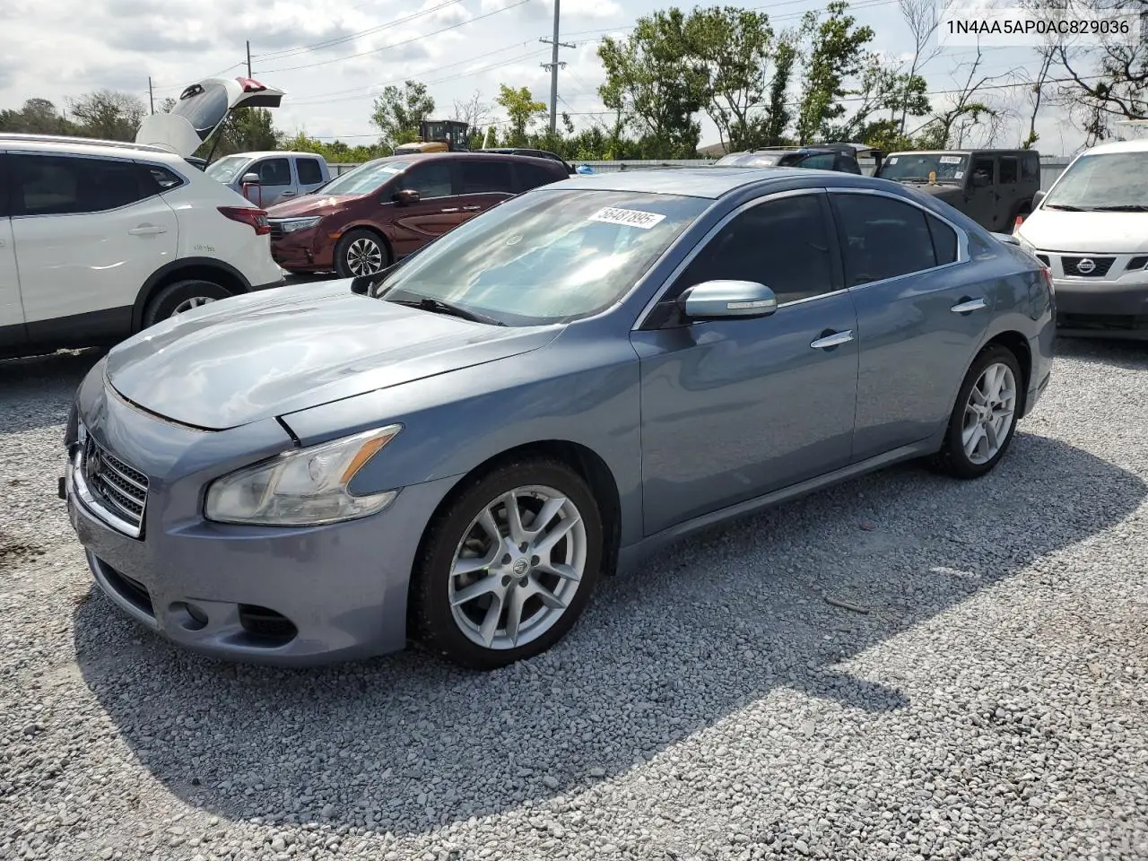 2010 Nissan Maxima S VIN: 1N4AA5AP0AC829036 Lot: 56487895