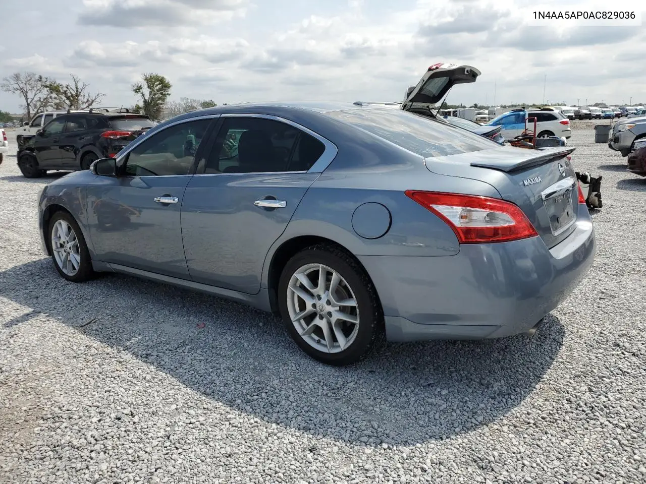 2010 Nissan Maxima S VIN: 1N4AA5AP0AC829036 Lot: 56487895