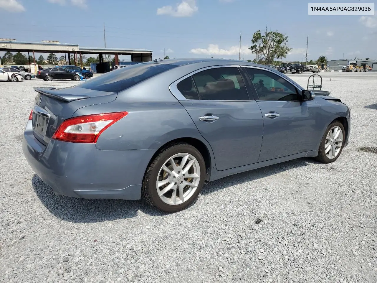 2010 Nissan Maxima S VIN: 1N4AA5AP0AC829036 Lot: 56487895