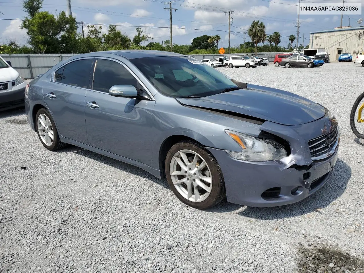 2010 Nissan Maxima S VIN: 1N4AA5AP0AC829036 Lot: 56487895
