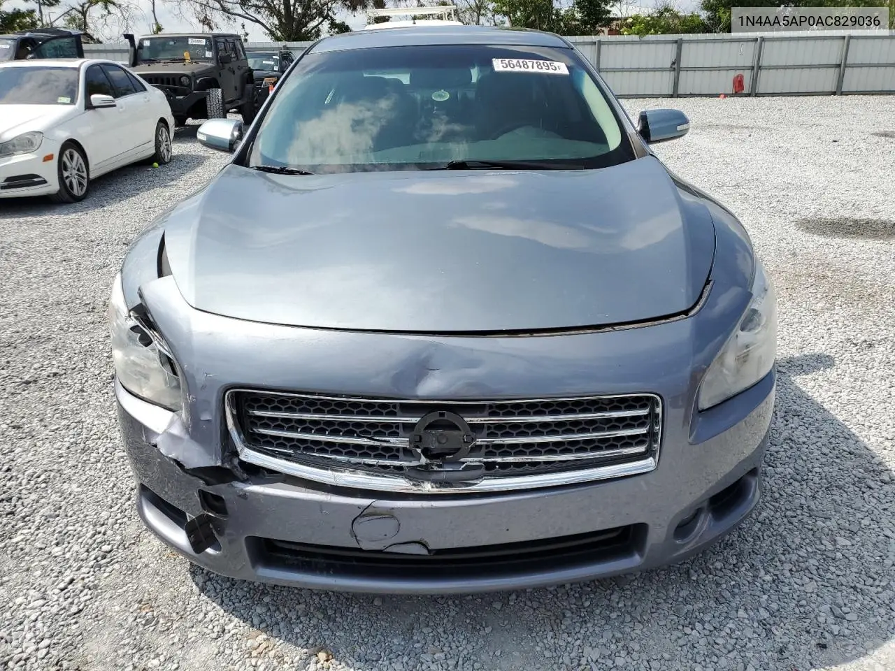 2010 Nissan Maxima S VIN: 1N4AA5AP0AC829036 Lot: 56487895