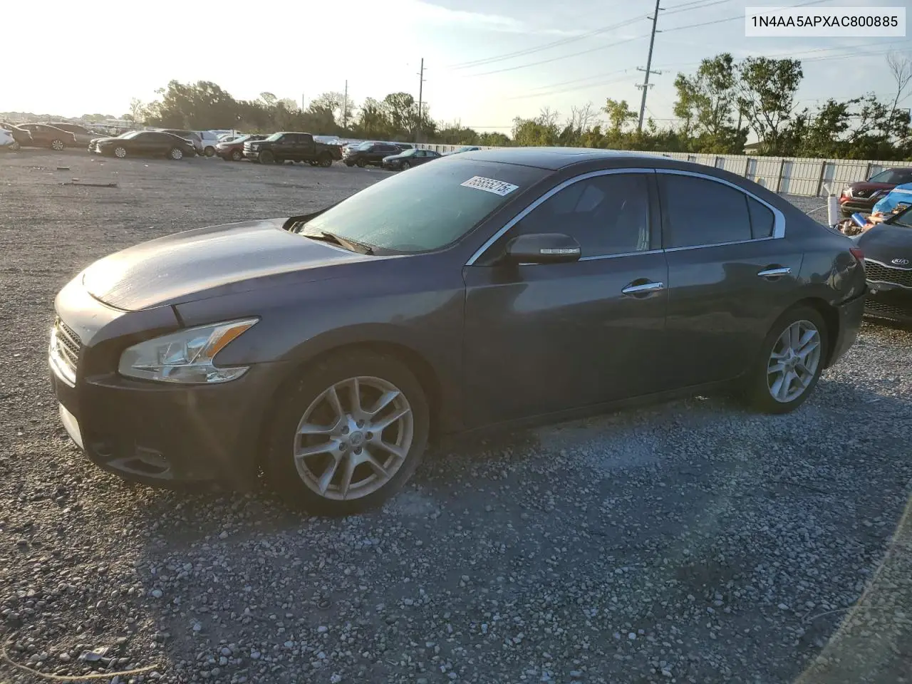 2010 Nissan Maxima S VIN: 1N4AA5APXAC800885 Lot: 65855215