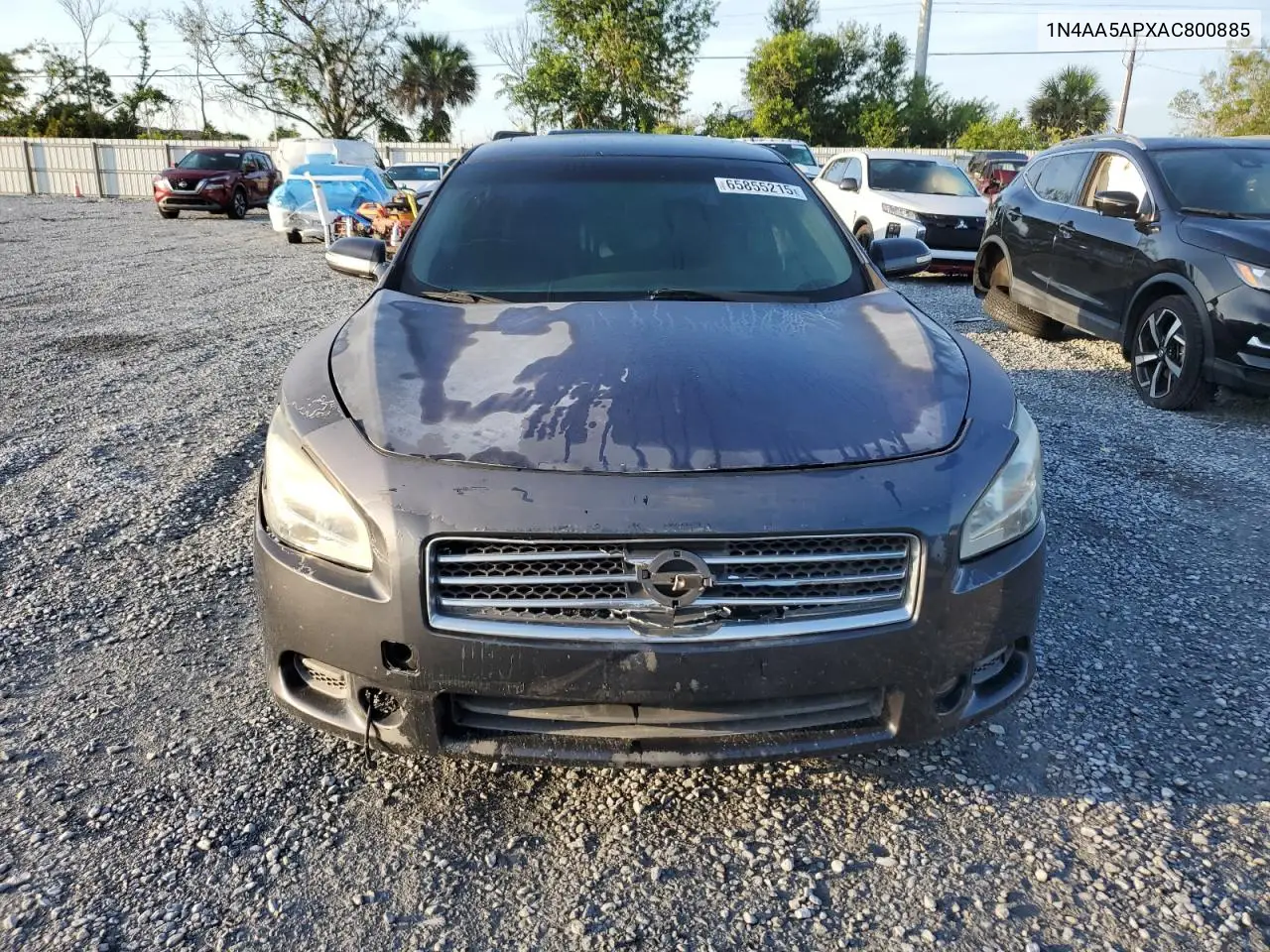 2010 Nissan Maxima S VIN: 1N4AA5APXAC800885 Lot: 65855215