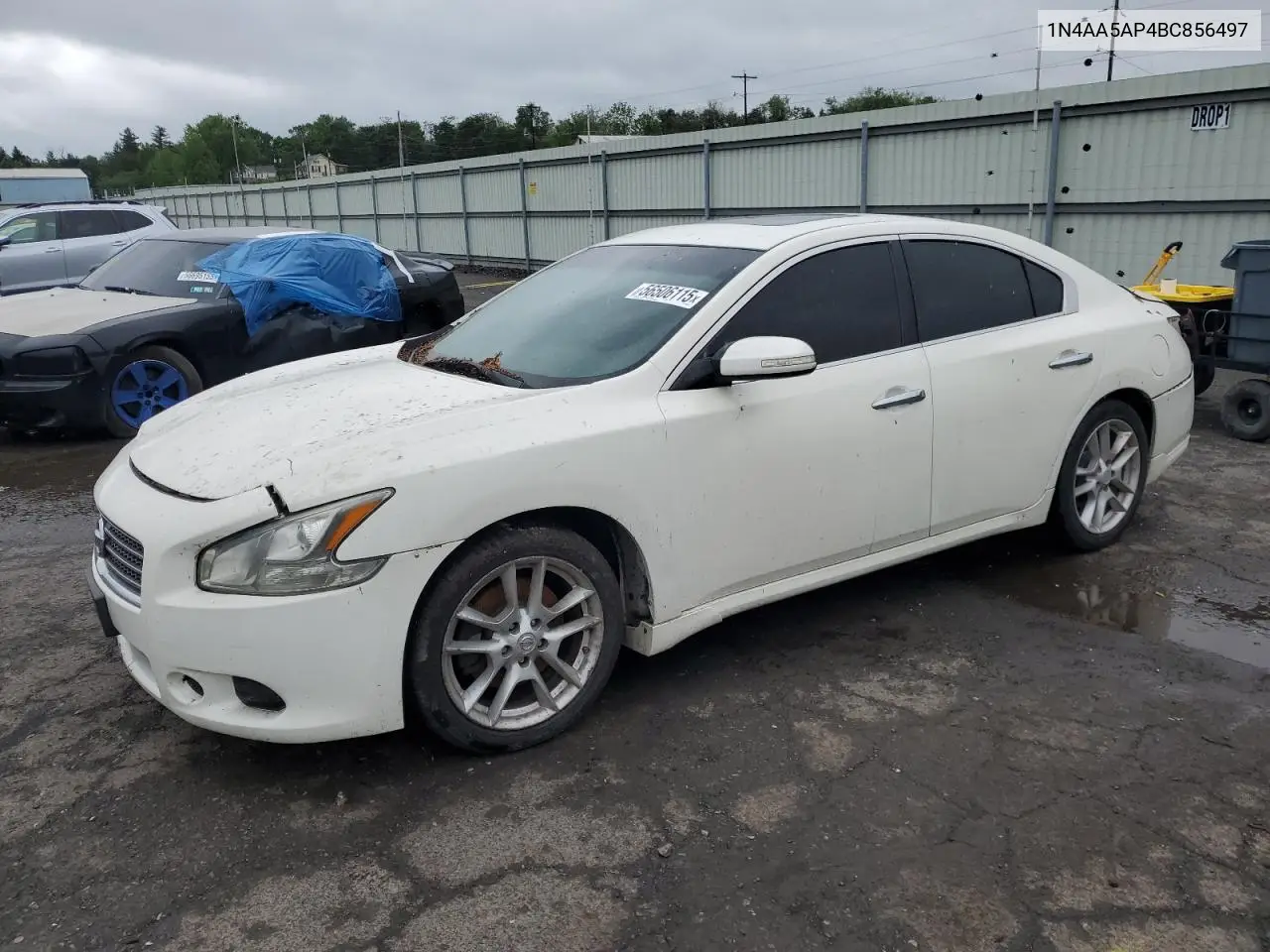 2011 Nissan Maxima S VIN: 1N4AA5AP4BC856497 Lot: 56506115