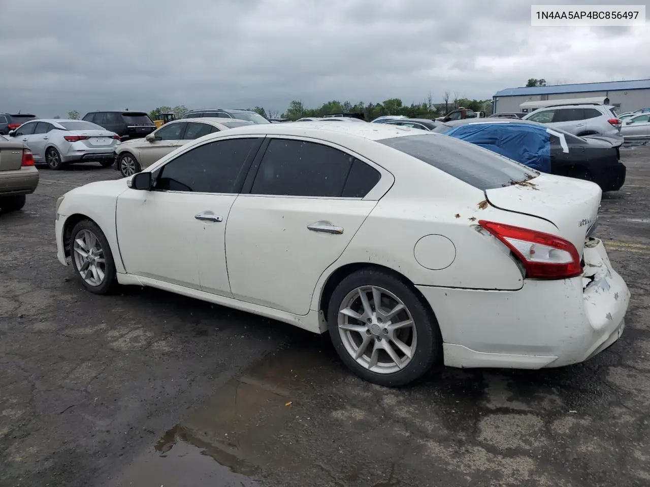2011 Nissan Maxima S VIN: 1N4AA5AP4BC856497 Lot: 56506115