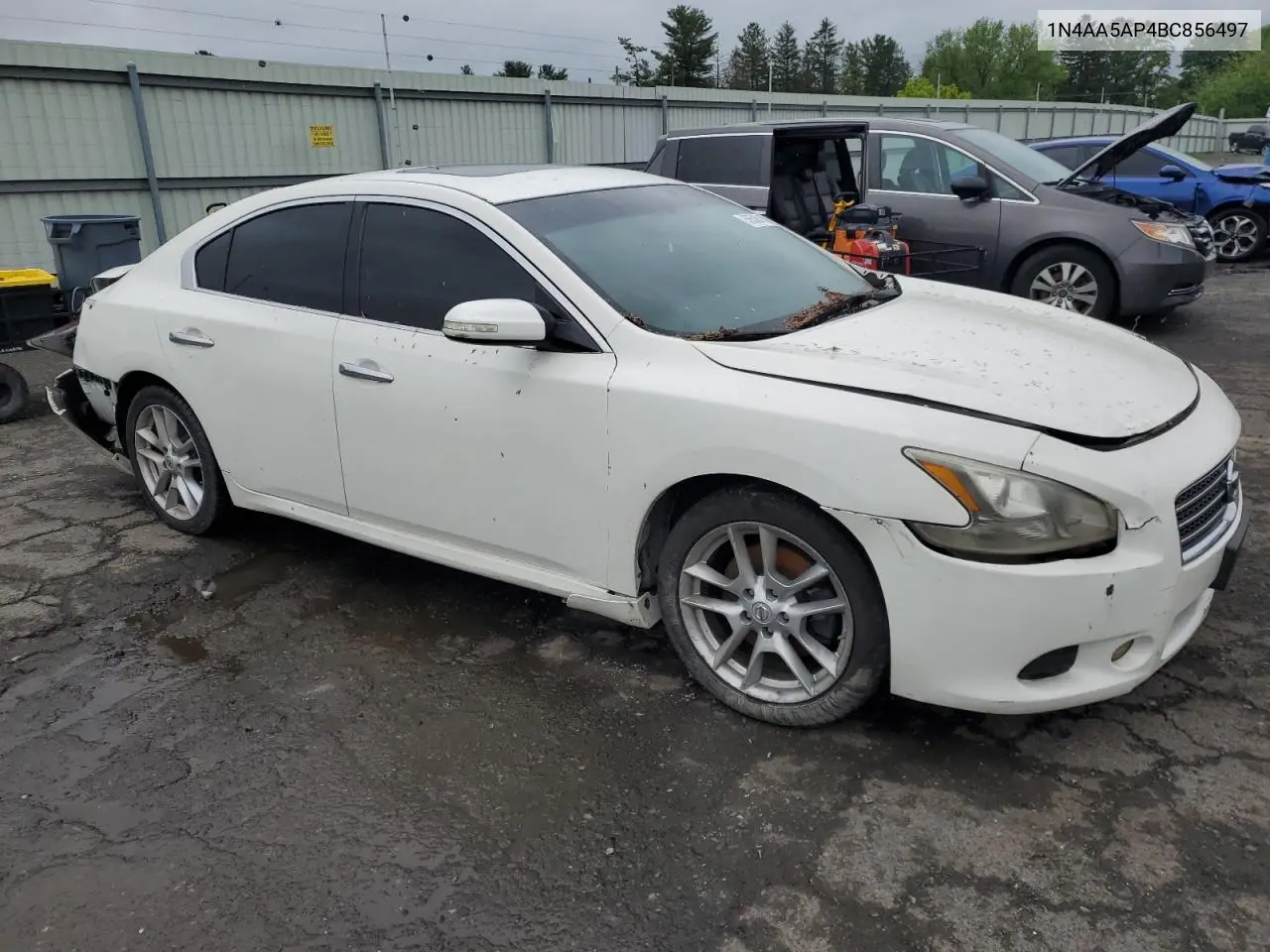 2011 Nissan Maxima S VIN: 1N4AA5AP4BC856497 Lot: 56506115