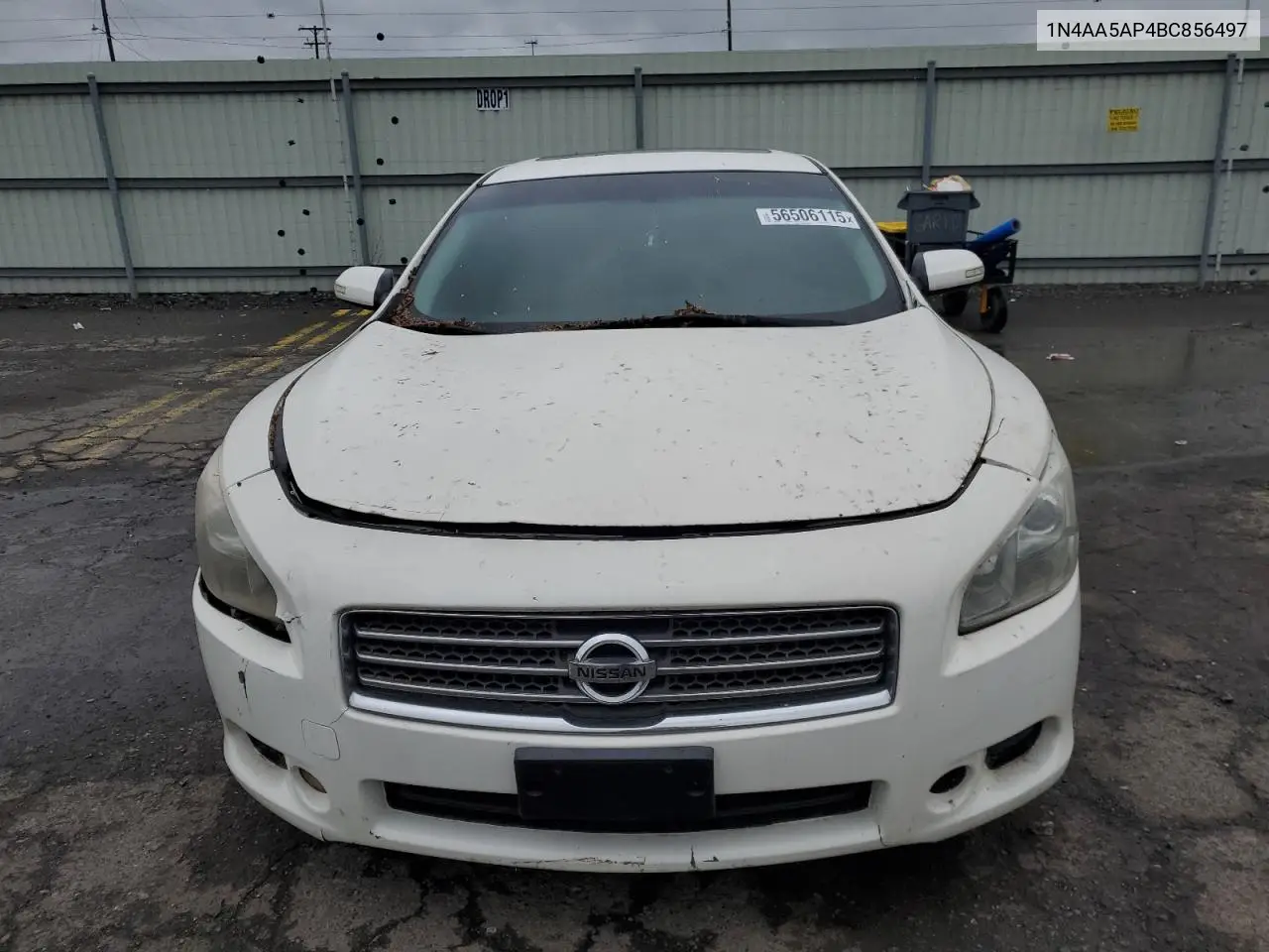 2011 Nissan Maxima S VIN: 1N4AA5AP4BC856497 Lot: 56506115