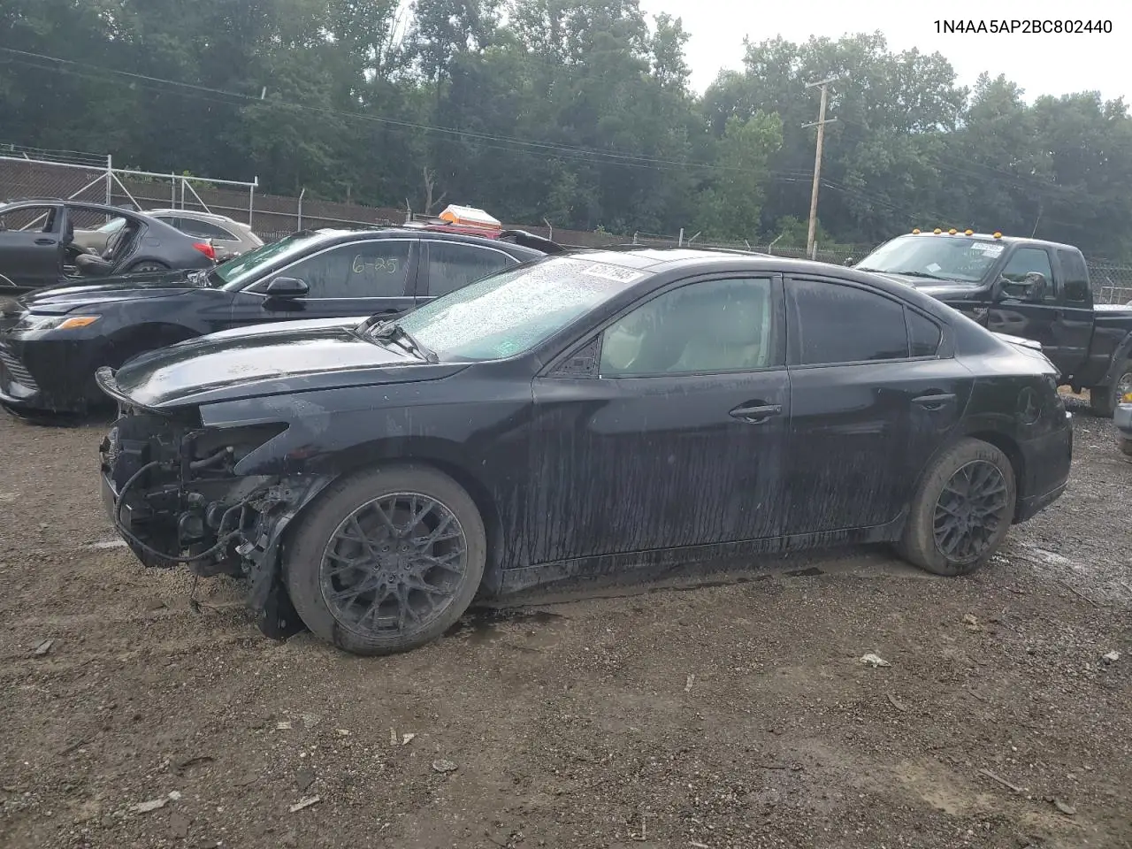 2011 Nissan Maxima S VIN: 1N4AA5AP2BC802440 Lot: 62671945