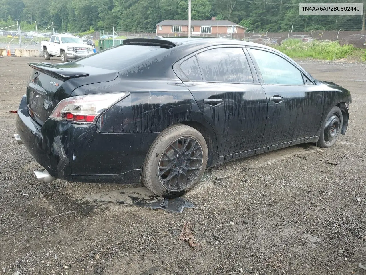 2011 Nissan Maxima S VIN: 1N4AA5AP2BC802440 Lot: 62671945