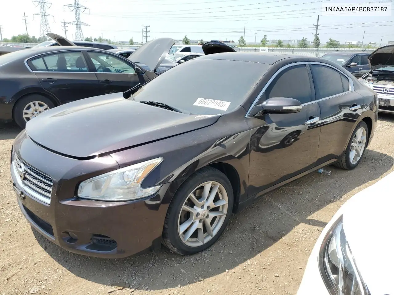 2011 Nissan Maxima S VIN: 1N4AA5AP4BC837187 Lot: 66028045