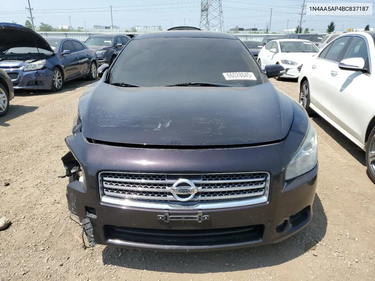 2011 Nissan Maxima S VIN: 1N4AA5AP4BC837187 Lot: 66028045