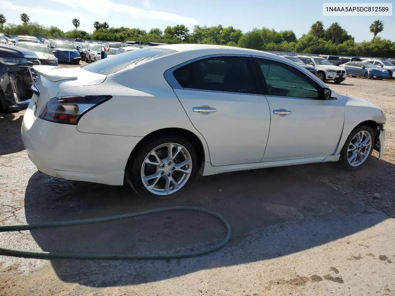 2013 Nissan Maxima S VIN: 1N4AA5AP5DC812589 Lot: 56607525