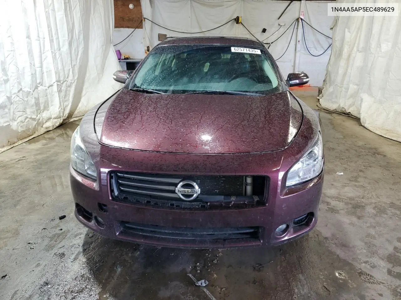 2014 Nissan Maxima S VIN: 1N4AA5AP5EC489629 Lot: 62571435