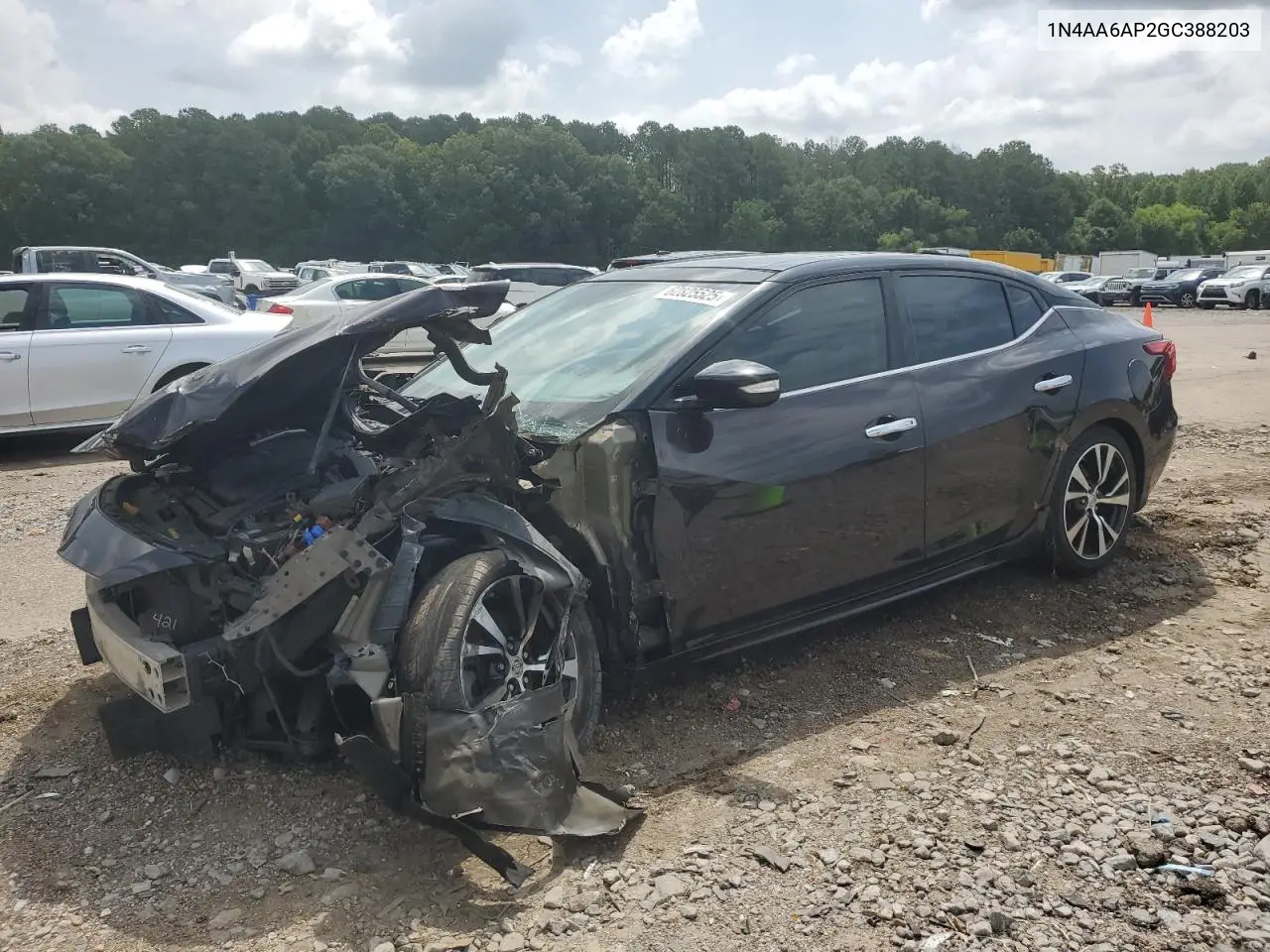 2016 Nissan Maxima 3.5S VIN: 1N4AA6AP2GC388203 Lot: 62825525