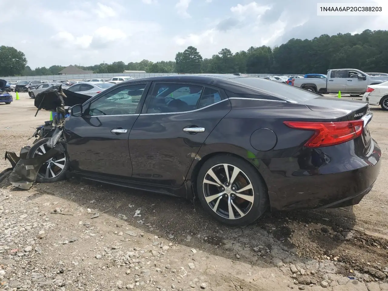 2016 Nissan Maxima 3.5S VIN: 1N4AA6AP2GC388203 Lot: 62825525