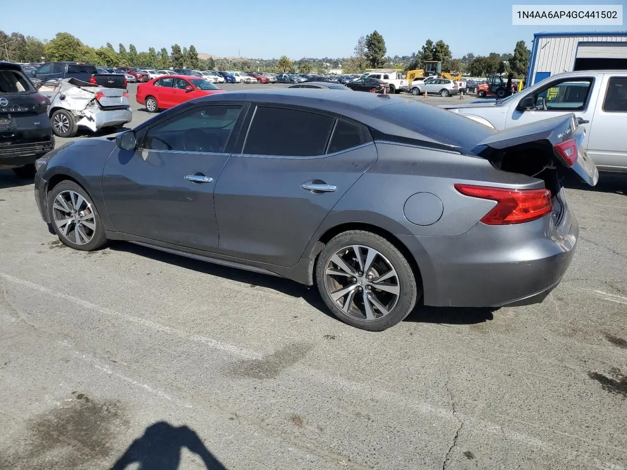 2016 Nissan Maxima 3.5S VIN: 1N4AA6AP4GC441502 Lot: 63307305