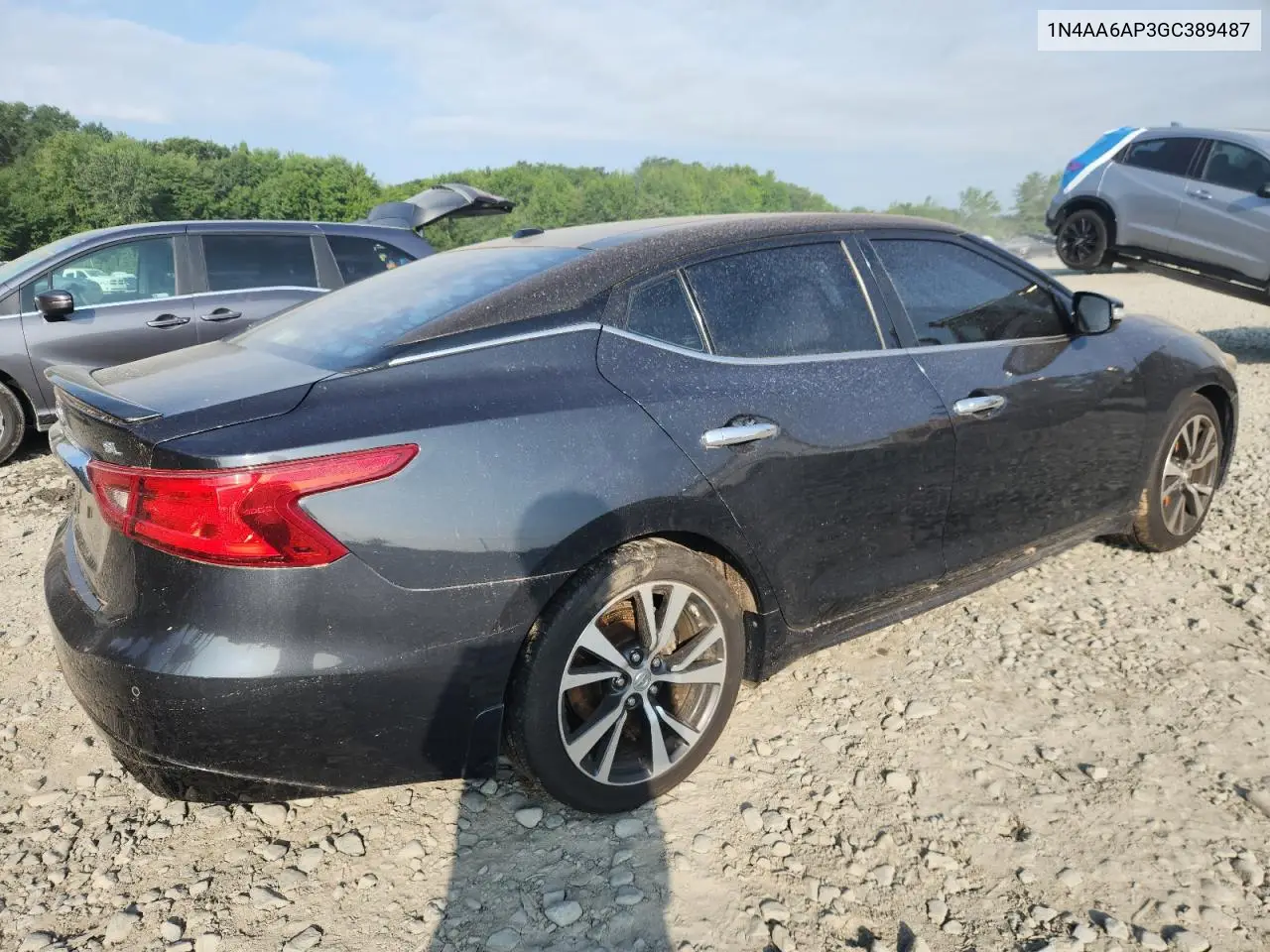 2016 Nissan Maxima 3.5S VIN: 1N4AA6AP3GC389487 Lot: 65846745