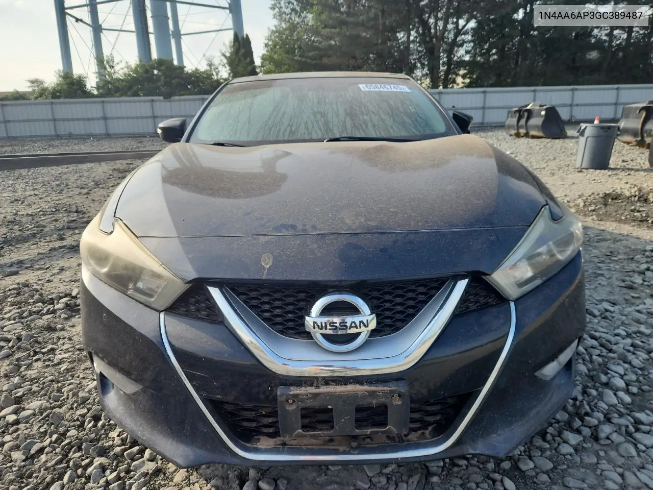 2016 Nissan Maxima 3.5S VIN: 1N4AA6AP3GC389487 Lot: 65846745