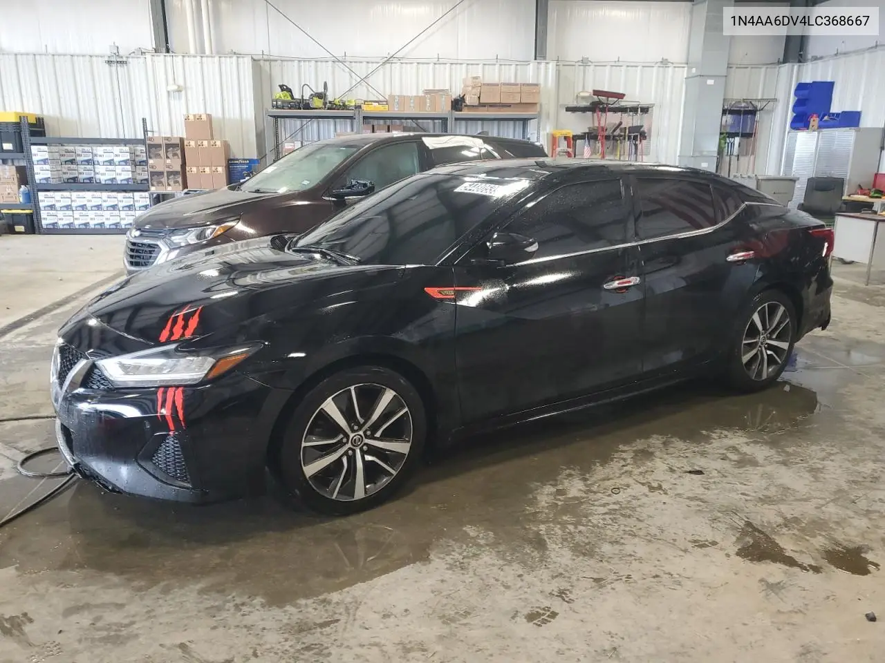 2020 Nissan Maxima Sl VIN: 1N4AA6DV4LC368667 Lot: 54480535