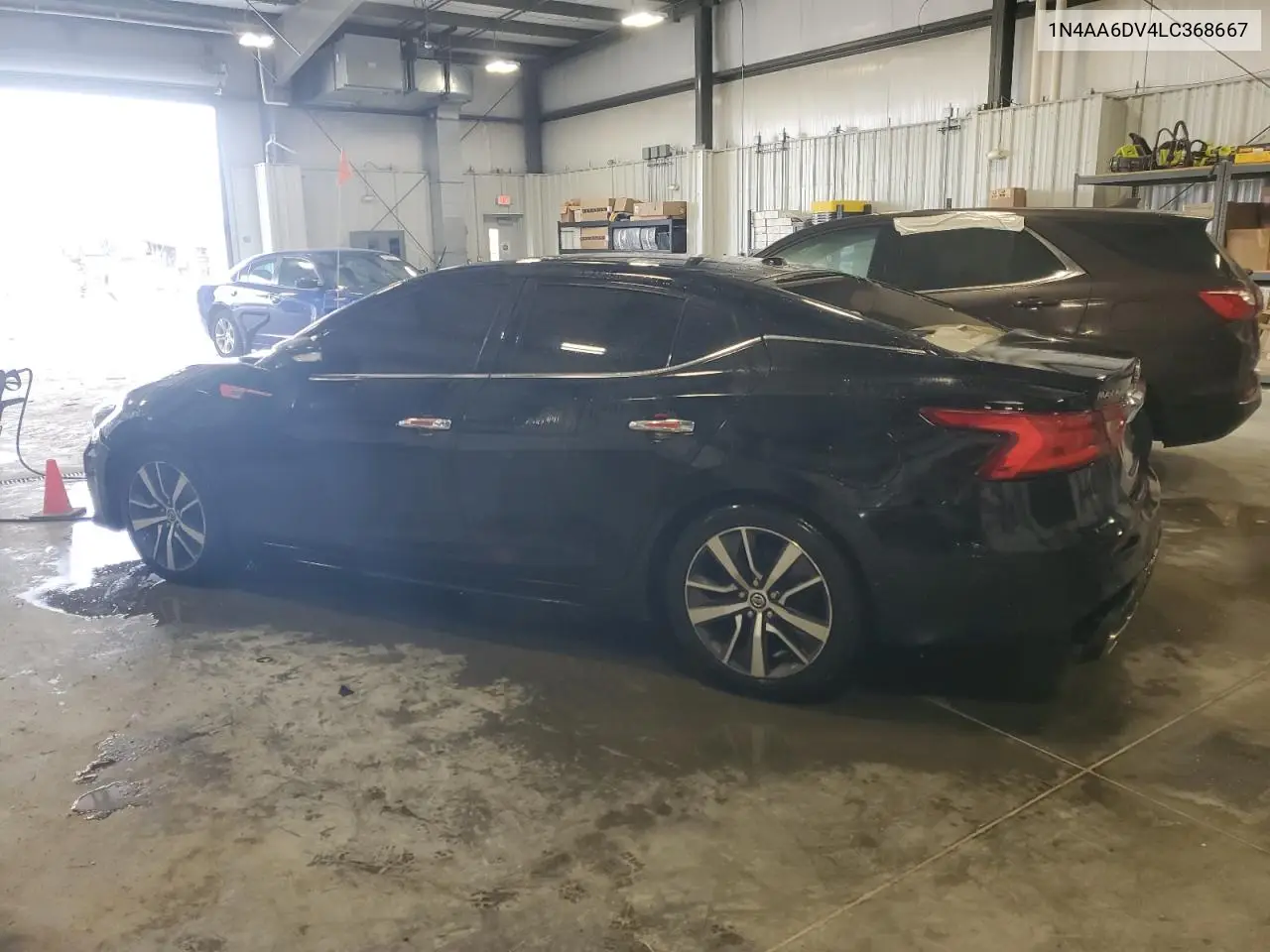 2020 Nissan Maxima Sl VIN: 1N4AA6DV4LC368667 Lot: 54480535