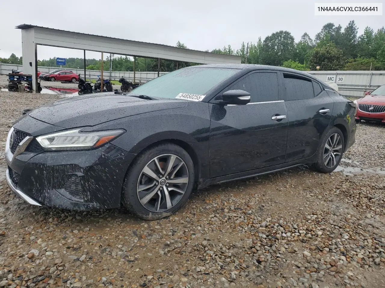 2020 Nissan Maxima Sv VIN: 1N4AA6CVXLC366441 Lot: 54850255