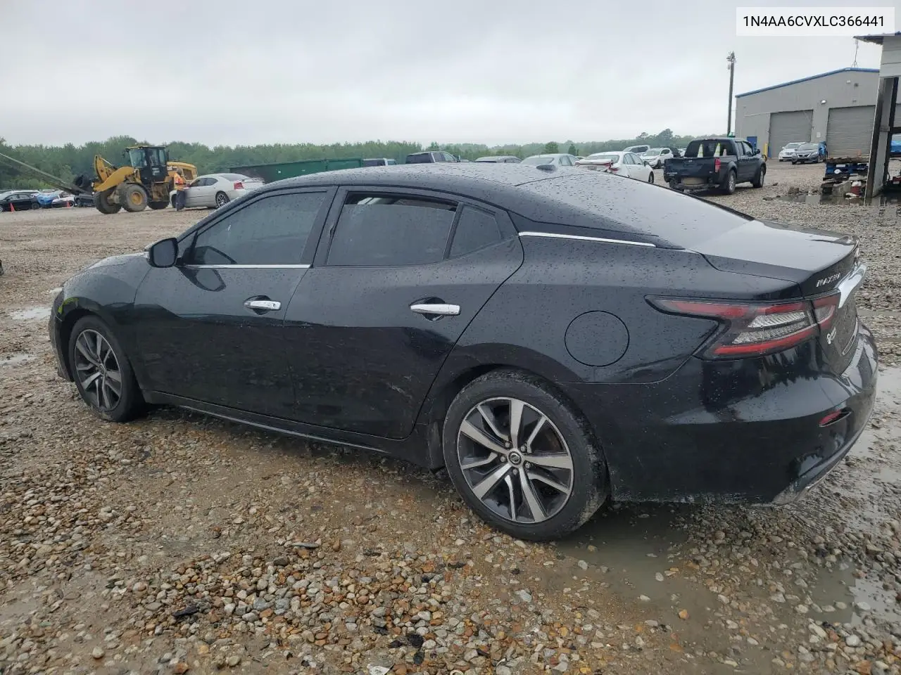2020 Nissan Maxima Sv VIN: 1N4AA6CVXLC366441 Lot: 54850255