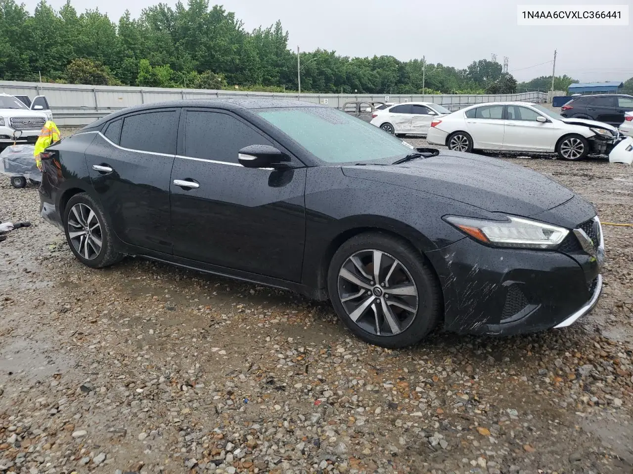 2020 Nissan Maxima Sv VIN: 1N4AA6CVXLC366441 Lot: 54850255
