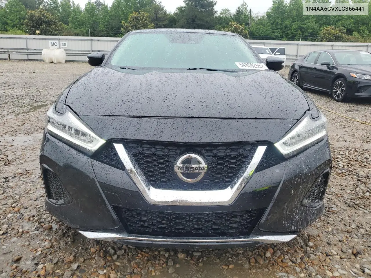 2020 Nissan Maxima Sv VIN: 1N4AA6CVXLC366441 Lot: 54850255