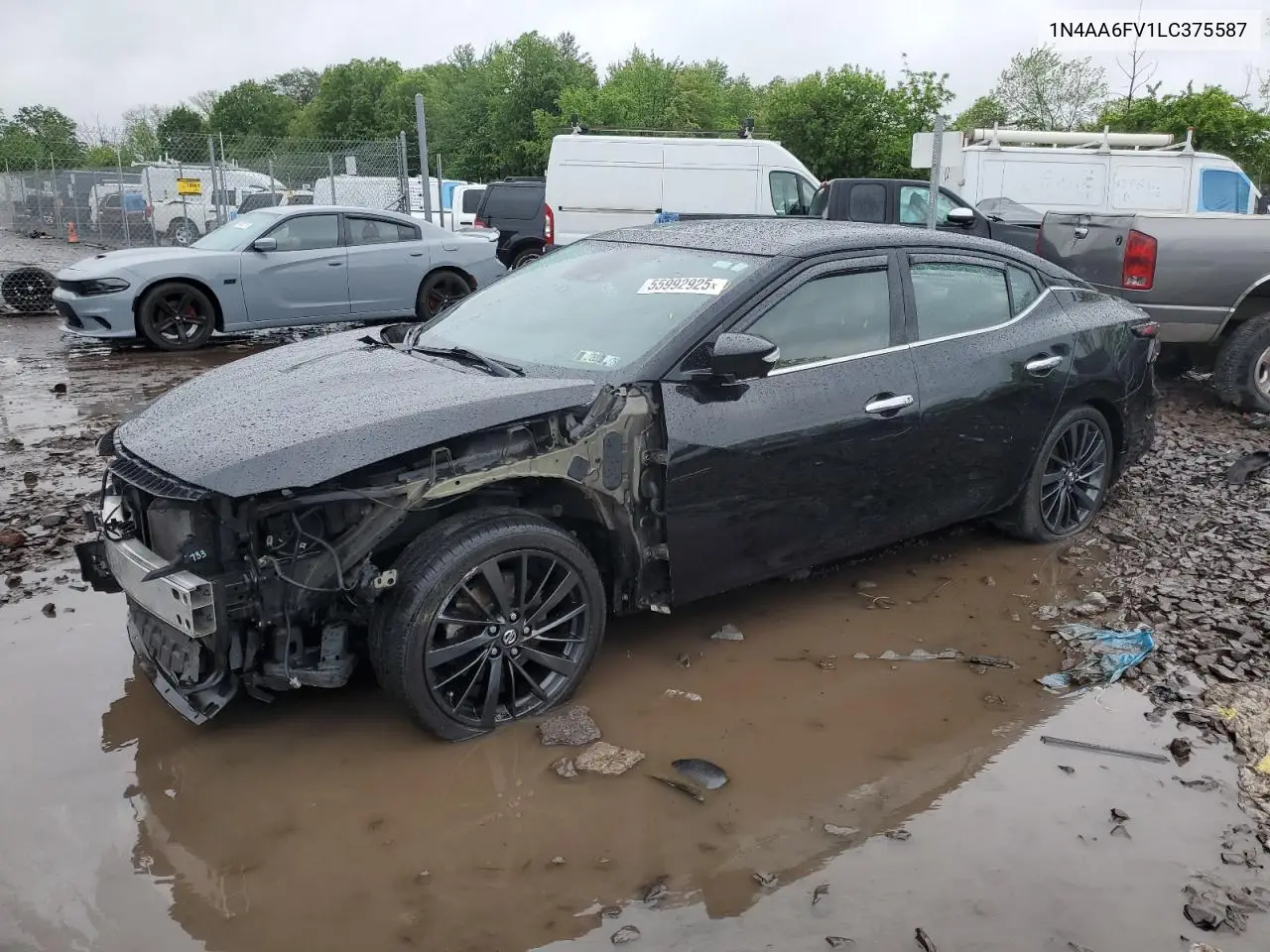 2020 Nissan Maxima Platinum VIN: 1N4AA6FV1LC375587 Lot: 55992925