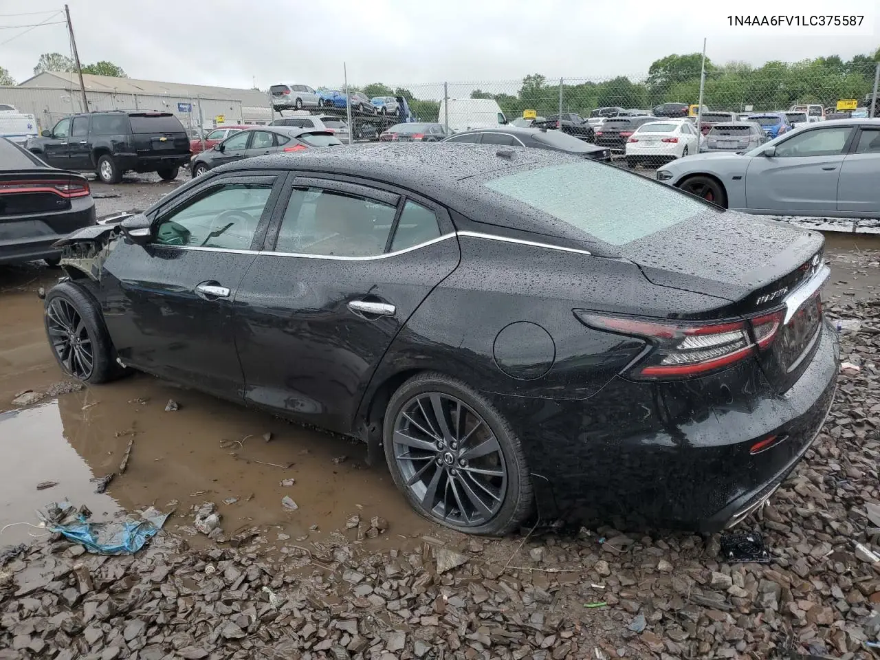 2020 Nissan Maxima Platinum VIN: 1N4AA6FV1LC375587 Lot: 55992925