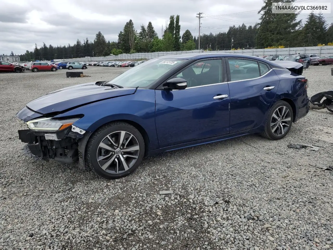 2020 Nissan Maxima Sv VIN: 1N4AA6CV0LC366982 Lot: 56272725