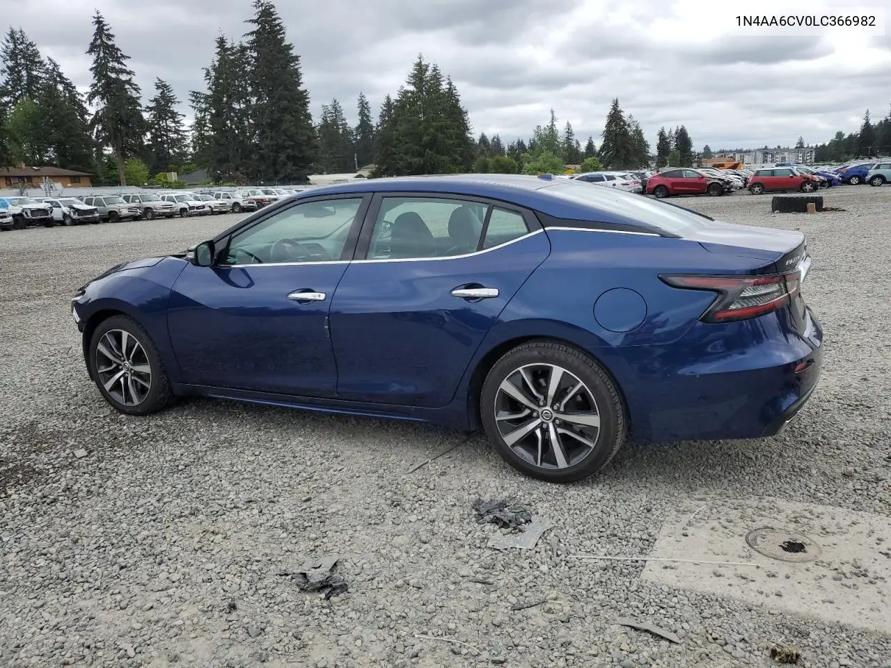 2020 Nissan Maxima Sv VIN: 1N4AA6CV0LC366982 Lot: 56272725
